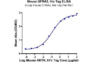 Immobilized Mouse GFRA3, His Tag at 5 μg/mL (100 μL/Well) on the plate. (GFRA3 Protein (AA 29-379) (His tag))