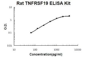 Rat TNFRSF19/TROY PicoKine ELISA Kit standard curve
