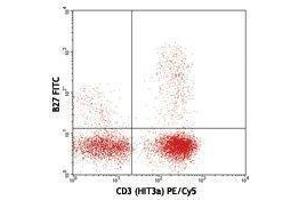 Flow Cytometry (FACS) image for anti-Interferon gamma (IFNG) antibody (FITC) (ABIN2661931) (Interferon gamma antibody  (FITC))