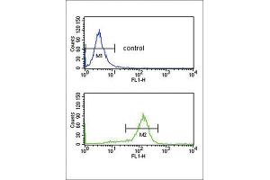 Flow Cytometry (FACS) image for anti-DEAD (Asp-Glu-Ala-Asp) Box Polypeptide 39 (DDX39) antibody (ABIN3003892) (BAT1 antibody)