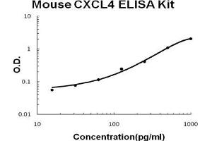 Mouse CXCL4/PF4 PicoKine ELISA Kit standard curve