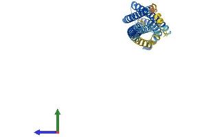 AlphaFold protein structure predicition of Mouse Recombinant Stx1a Protein, UniprotID O35526