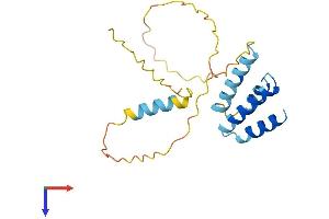 AlphaFold protein structure predicition of Human Recombinant CT45A2 Protein, UniprotID Q5DJT8 (CT45A2 Protein (AA 1-189) (His tag))
