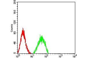 Flow cytometric analysis of HL-60 cells using CD132 mouse mAb (green) and negative control (red). (IL2RG antibody  (AA 23-262))