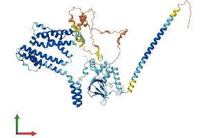 AlphaFold protein structure predicition of Human Recombinant CNGA2 Protein, UniprotID Q16280