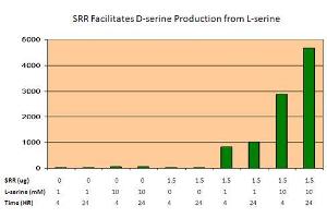 Bioactivity measured with Activity Assay (SRR Protein (Myc-DYKDDDDK Tag))