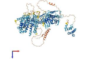 AlphaFold protein structure predicition of Mouse Recombinant Nlrp1a Protein, UniprotID Q2LKU9 (Nlrp1a Protein (AA 1-1182) (His tag))
