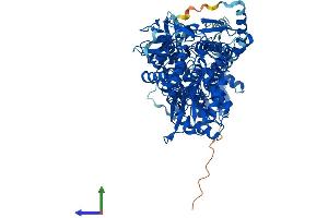 AlphaFold protein structure predicition of Mouse Recombinant Aldh1l2 Protein, UniprotID Q8K009 (ALDH1L2 Protein (AA 1-923) (His tag))