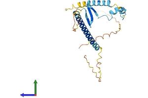 AlphaFold protein structure predicition of Mouse Recombinant Cby3 Protein, UniprotID Q9CVN6 (CBY3 Protein (AA 1-235) (His tag))