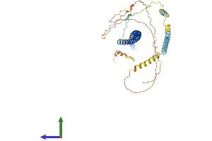 AlphaFold protein structure predicition of Human Recombinant CAVIN1 Protein, UniprotID Q6NZI2 (PTRF Protein (AA 1-390) (His tag))