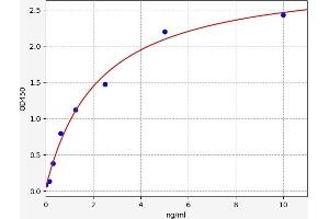 Calretinin ELISA Kit