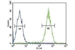 CD11b antibody flow cytometric analysis of Jurkat cells (right histogram) compared to a negative control cell (left histogram). (CD11b antibody  (AA 253-282))