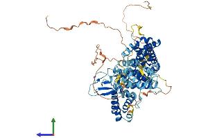 AlphaFold protein structure predicition of Mouse Recombinant Rasgrp4 Protein, UniprotID Q8BTM9 (RASGRP4 Protein (AA 1-673) (His tag))
