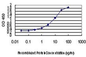 Detection limit for recombinant GST tagged EXOSC3 is approximately 0. (EXOSC3 antibody  (AA 1-275))