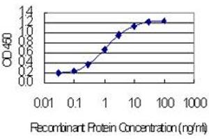 Detection limit for recombinant GST tagged CCDC12 is 0. (CCDC12 antibody  (AA 1-166))