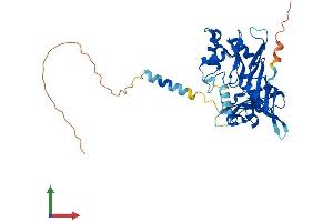 AlphaFold protein structure predicition of Mouse Recombinant Rpusd4 Protein, UniprotID Q9CWX4 (RPUSD4 Protein (AA 1-377) (His tag))