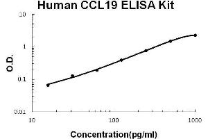 Human CCL19/MIP-3 beta PicoKine ELISA Kit standard curve
