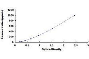 Fibroblast Growth Factor 4 (FGF4) ELISA Kit