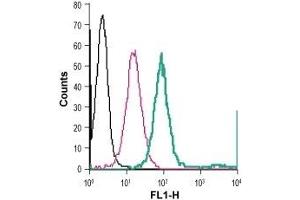 Cell surface detection of NK1R in live intact human THP-1 monocytic leukemia cells: (black line) Cells. (TACR1 antibody  (Extracellular) (FITC))