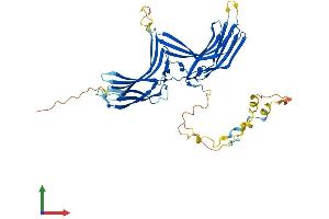 AlphaFold protein structure predicition of Human Recombinant ARRDC4 Protein, UniprotID Q8NCT1