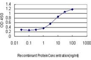 Detection limit for recombinant GST tagged ING3 is approximately 1ng/ml as a capture antibody. (ING3 antibody  (AA 1-92))