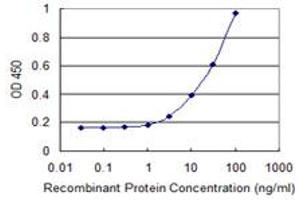 Detection limit for recombinant GST tagged CLP1 is 1 ng/ml as a capture antibody. (CLP1 antibody  (AA 316-425))