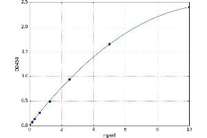 Peroxiredoxin 1 (PRDX1) ELISA Kit