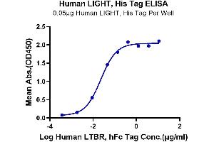 ELISA image for Tumor Necrosis Factor (Ligand) Superfamily, Member 14 (TNFSF14) (AA 74-240) protein (His tag) (ABIN7275147)