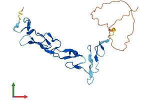 AlphaFold protein structure predicition of Human Recombinant EGFEM1P Protein, UniprotID Q0D2K5 (EGFEM1P Protein (AA 1-195) (His tag))