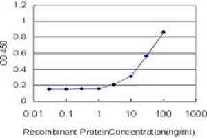 Detection limit for recombinant GST tagged CD300C is approximately 3ng/ml as a capture antibody. (CD300c antibody  (AA 21-130))