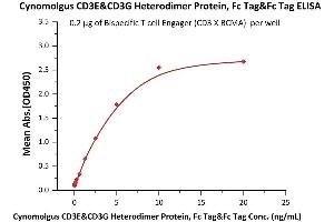 Immobilized Bispecific T cell Engager (CD3 X BCMA) at 1 μg/mL (100 μL/well) can bind Cynomolgus CD3E&CD3G Heterodimer Protein, Fc Tag&Fc Tag(ABIN6973008) with a linear range of 0.