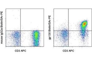 Image no. 1 for anti-Interleukin 6 Signal Transducer (Gp130, Oncostatin M Receptor) (IL6ST) antibody (Biotin) (ABIN474450) (CD130/gp130 antibody  (Biotin))