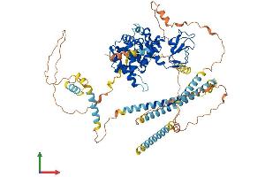 AlphaFold protein structure predicition of Mouse Recombinant Dtna Protein, UniprotID Q9D2N4