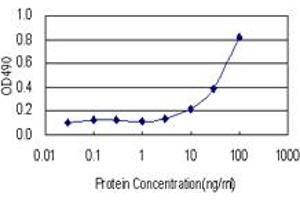 Sandwich ELISA detection sensitivity ranging from 3 ng/mL to 100 ng/mL. (LIPG (Human) Matched Antibody Pair)