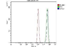 Flow Cytometry analysis of HCT116 cells using anti-Spindly/SPDL1 antibody (ABIN7601654). (CCDC99 antibody  (AA 40-605))