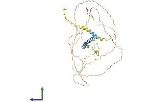 Protein Structure (PS) image for Syndecan 3 (SDC3) (AA 1-442) protein (His tag) (ABIN7545912)