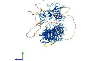 AlphaFold protein structure predicition of Mouse Recombinant Cyld Protein, UniprotID Q80TQ2 (CYLD Protein (AA 1-952) (His tag))