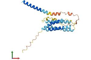 AlphaFold protein structure predicition of Mouse Recombinant Tmem98 Protein, UniprotID Q91X86