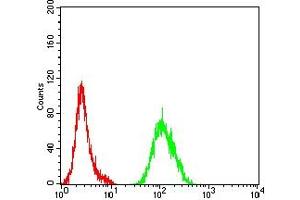 Flow cytometric analysis of Hela cells using ATG4B mouse mAb (green) and negative control (red). (ATG4B antibody  (AA 1-221))