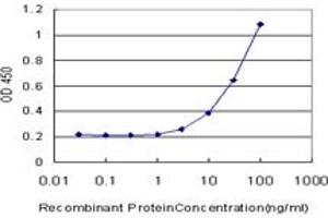 Detection limit for recombinant GST tagged CAMK2A is approximately 1ng/ml as a capture antibody. (CAMK2A antibody  (AA 305-410))