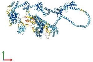 AlphaFold protein structure predicition of Human Recombinant IQGAP3 Protein, UniprotID Q86VI3 (IQGAP3 Protein (AA 1-1631) (His tag))