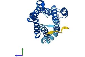 AlphaFold protein structure predicition of Human Recombinant KDELR3 Protein, UniprotID O43731 (KDELR3 Protein (AA 1-214) (His tag))