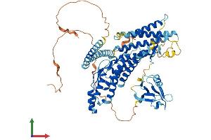 Protein Structure (PS) image for Rhophilin, rho GTPase Binding Protein 1 (RHPN1) (AA 1-643) protein (His tag) (ABIN7557663)
