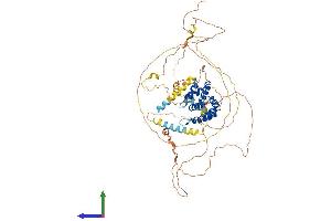 AlphaFold protein structure predicition of Mouse Recombinant Clint1 Protein, UniprotID Q99KN9 (CLINT1 Protein (AA 1-631) (His tag))