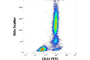 Flow cytometry surface staining pattern of human peripheral whole blood stained using anti-human CD32 (3D3) FITC antibody (4 μL reagent / 100 μL of peripheral whole blood). (Fc gamma RII (CD32) antibody (FITC))