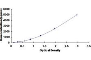 Typical standard curve (BCL9 ELISA Kit)