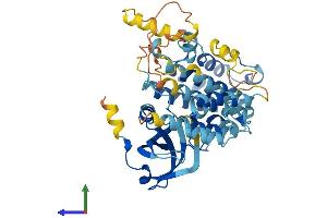 AlphaFold protein structure predicition of Human Recombinant MAPKAPK5 Protein, UniprotID Q8IW41 (MAPKAP Kinase 5 Protein (AA 1-473) (His tag))