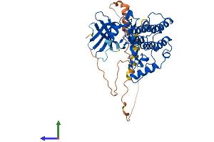 AlphaFold protein structure predicition of Human Recombinant CSNK1E Protein, UniprotID P49674 (CK1 epsilon Protein (AA 1-416) (His tag))