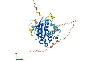 AlphaFold protein structure predicition of Mouse Recombinant Rab40c Protein, UniprotID Q8VHQ4