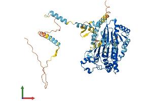 Protein Structure (PS) image for DEAD (Asp-Glu-Ala-Asp) Box Polypeptide 41 (DDX41) (AA 1-622) protein (His tag) (ABIN7559997)